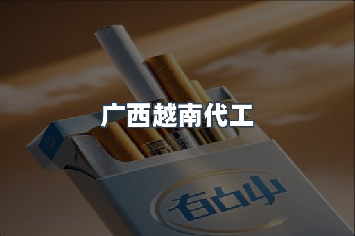广西越南代工